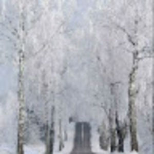 Meet your Posher, Rodney